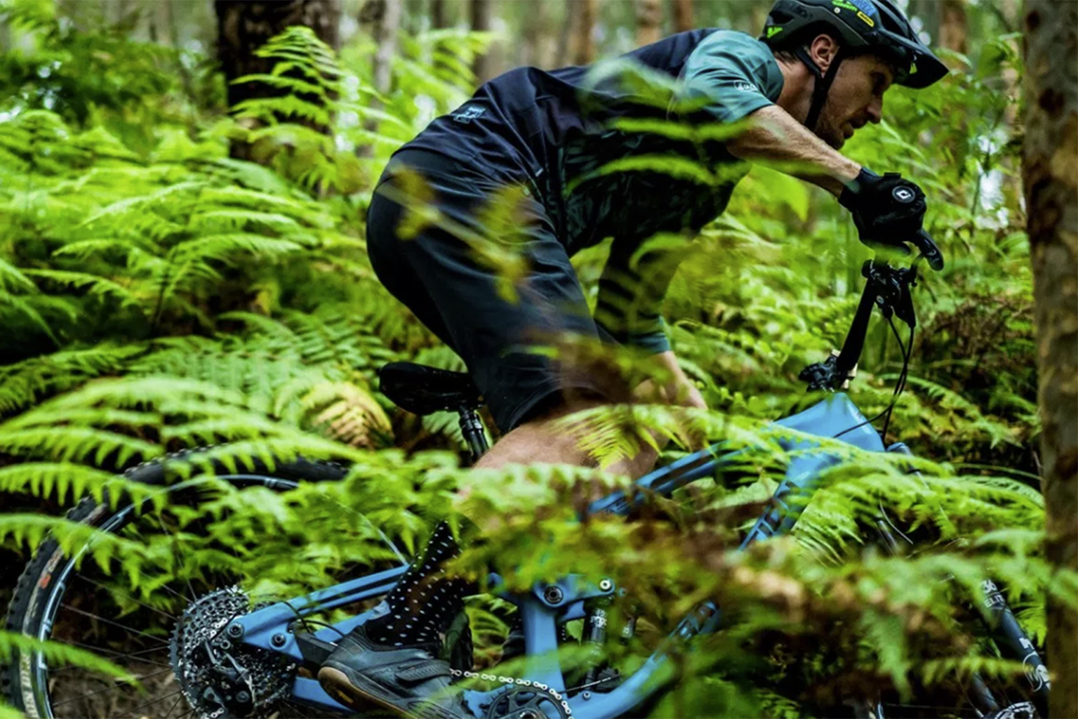 [R]EVIEWED: TRANSITION PATROL CARBON
